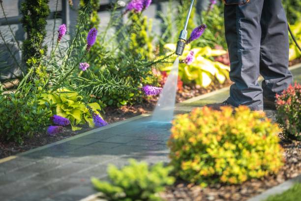 Best Patio and Deck Pressure Washing  in Ele, AR