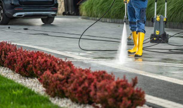 Best Sidewalk and Walkway Cleaning  in Ele, AR